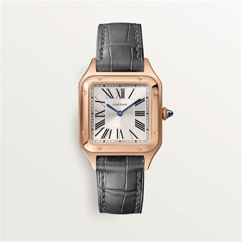 cartier wgsa0022|CRWGSA0022 .